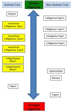 Animal Free Collagenase/Dispase Blend II Animal Free Collagenase/Dispase Blend II is a mixture of animal free collagenase, type B, and neutral protease/dispase, and is inteneded to be used when a more potent enzymatic dissociatation solution than collagnaease is desired.