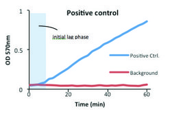ALT Activity Assay sufficient for 100&#160;colorimetric&nbsp;or&nbsp;fluorometric&nbsp;tests