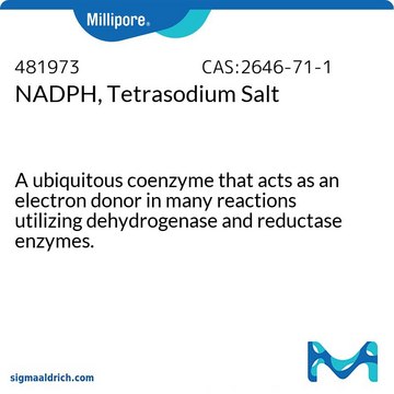 NADPH, Tetrasodium Salt A ubiquitous coenzyme that acts as an electron donor in many reactions utilizing dehydrogenase and reductase enzymes.