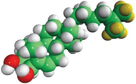 4&#946;-hydroxycholesterol-d7 Avanti Research&#8482; - A Croda Brand
