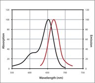 Anti-Mouse IgG (H+L), CF&#8482; 647 antibody produced in goat ~2&#160;mg/mL, affinity isolated antibody