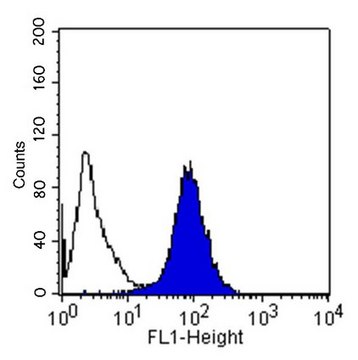 Anti-Integrin &#945;5&#946;1 Antibody, clone HA5 clone HA5, Chemicon&#174;, from mouse