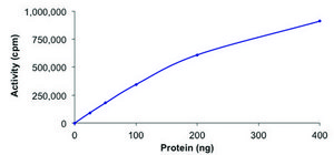 CHK1, active, His tagged human PRECISIO&#174;, recombinant, expressed in baculovirus infected Sf9 cells, &#8805;70% (SDS-PAGE), buffered aqueous glycerol solution