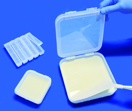 Scienceware&#174; gel incubating tray W × L 1.6&#160;cm (0.63&#160;in.) × 11.5&#160;cm (4.5&#160;in.)