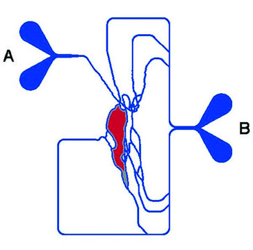 SynVivo SynTumour 3D cancer model chip, microvascular network configuration, 2 um pillar