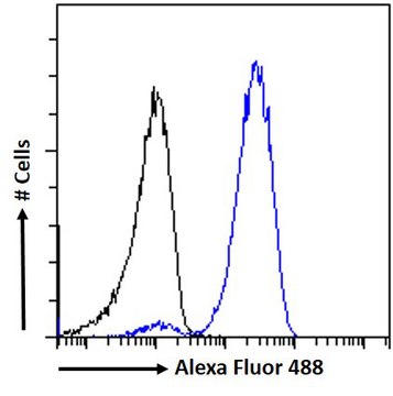 Anti-CIRBP antibody produced in goat affinity isolated antibody, buffered aqueous solution