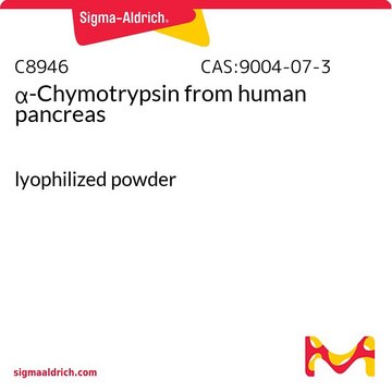 &#945;-Chymotrypsin from human pancreas lyophilized powder