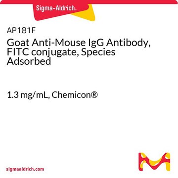 Goat Anti-Mouse IgG Antibody, FITC conjugate, Species Adsorbed 1.3&#160;mg/mL, Chemicon&#174;