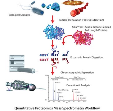 SILu&#8482;Lite PTX3&nbsp;Pentraxin-related protein 3 human recombinant, expressed in HEK 293 cells, MS Protein Standard