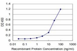 Monoclonal Anti-ACVR1B antibody produced in mouse clone 6D3, purified immunoglobulin, buffered aqueous solution