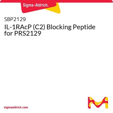 IL-1RAcP (C2) Blocking Peptide for PRS2129