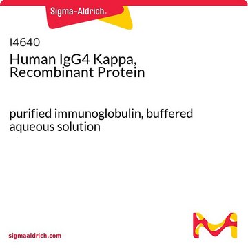 Human IgG4 Kappa, Recombinant Protein purified immunoglobulin, buffered aqueous solution