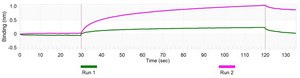 Anti-Bacteriophage MS2 Antibody, clone 1B21 ZooMAb&#174; Rabbit Monoclonal recombinant, expressed in HEK 293 cells