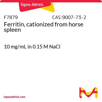 Ferritin, cationized from horse spleen 10&#160;mg/mL in 0.15 M NaCl