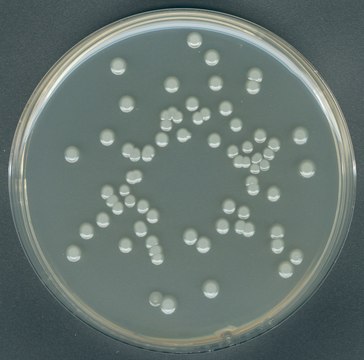 Plate Count agar GranuCult&#174; prime, ISO 4833, IFU, ISO 17410, FDA-BAM, granular, suitable for food and beverages