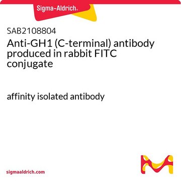 Anti-GH1 (C-terminal) antibody produced in rabbit FITC conjugate affinity isolated antibody