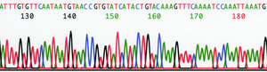 REDExtract-N-Amp&#8482; Seed PCR Kit sufficient for 10&#160;extractions, sufficient for 10&#160;amplifications