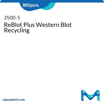 ReBlot Plus Western Blot Recycling