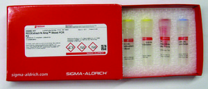 REDExtract-N-Amp&#8482; Blood PCR Kit sufficient for 10&#160;extractions, sufficient for 10&#160;amplifications