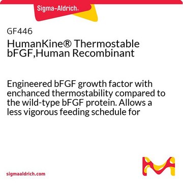 HumanKine&#174; Thermostable bFGF,Human Recombinant Engineered bFGF growth factor with enchanced thermostability compared to the wild-type bFGF protein. Allows a less vigorous feeding schedule for human es/ips and neural stem cell culture.