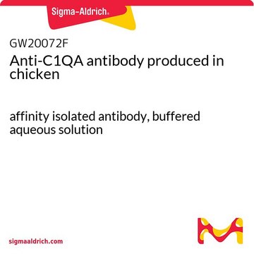 Anti-C1QA antibody produced in chicken affinity isolated antibody, buffered aqueous solution