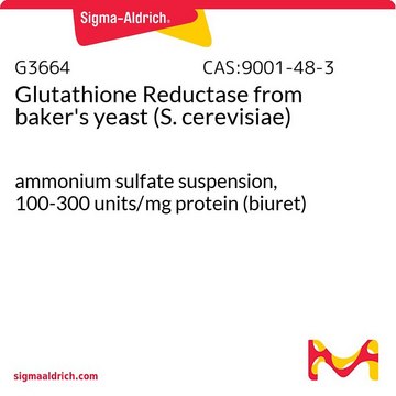 Glutathione Reductase from baker’s yeast (S.&#160;cerevisiae) ammonium sulfate suspension, 100-300&#160;units/mg protein (biuret)