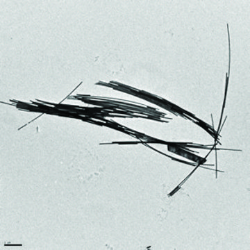 Gold nanowires diam. × L 30&#160;nm × 4,500&#160;nm, dispersion (H2O), contains CTAB as stabilizer