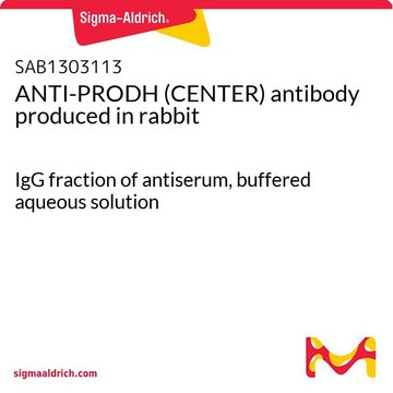 ANTI-PRODH (CENTER) antibody produced in rabbit IgG fraction of antiserum, buffered aqueous solution