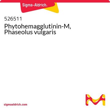Phytohemagglutinin-M, Phaseolus vulgaris