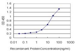 Monoclonal Anti-SERPINA6 antibody produced in mouse clone 1D9, purified immunoglobulin, buffered aqueous solution