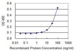 Monoclonal Anti-GK2 antibody produced in mouse clone 3G4, purified immunoglobulin, buffered aqueous solution