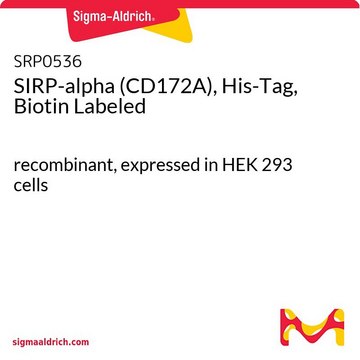 SIRP-alpha (CD172A), His-Tag, Biotin Labeled recombinant, expressed in HEK 293 cells