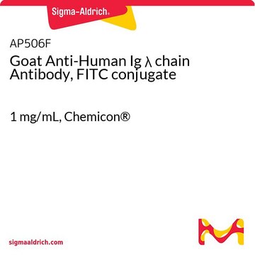 Goat Anti-Human Ig &#955; chain Antibody, FITC conjugate 1&#160;mg/mL, Chemicon&#174;