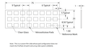 Grace Bio-Labs ONCYTE&#174; SuperNOVA&#8482; nitrocellulose film slides 24-5 mm x 6 mm NC pads per slide, plain glass, no barcode