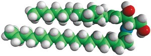 Ceramide (Brain) Ceramide (Brain, Porcine), powder