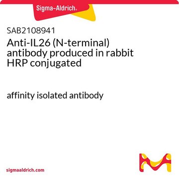 Anti-IL26 (N-terminal) antibody produced in rabbit HRP conjugated affinity isolated antibody