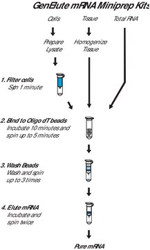 GenElute&#8482; Direct mRNA Miniprep Kits sufficient for 10&#160;purifications