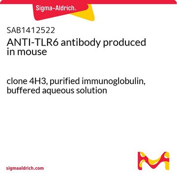 ANTI-TLR6 antibody produced in mouse clone 4H3, purified immunoglobulin, buffered aqueous solution