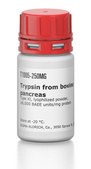 Trypsin from bovine pancreas Type XI, lyophilized powder, &#8805;6,000&#160;BAEE units/mg protein