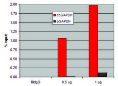 Imprint &#174; ChiP-Validated Anti-methyl-Histone H3 (Me-Lys4) (H3K4me1) antibody produced in rabbit affinity isolated antibody