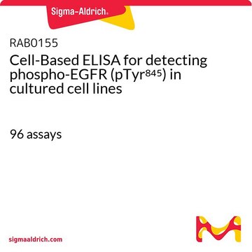 Cell-Based ELISA for detecting phospho-EGFR (pTyr845) in cultured cell lines 96&#160;assays