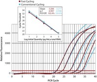 KiCqStart&#174; SYBR&#174; Green qPCR ReadyMix&#8482; For Bio-Rad, Cepheid, Eppendorf, Illumina, Corbett, and Roche systems