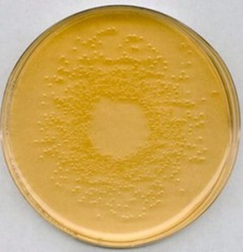 Nutrient agar suitable for microbiology, NutriSelect&#174; Plus