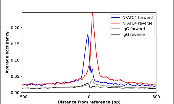 Anti-NFATC4 antibody produced in rabbit Prestige Antibodies&#174; Powered by Atlas Antibodies, affinity isolated antibody