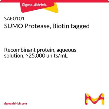 SUMO Protease, Biotin tagged Recombinant protein, aqueous solution, &#8805;25,000&#160;units/mL