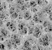 Filtre membrane en PVC Millipore, filter diam. 47&#160;mm, hydrophobic