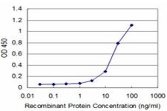 ANTI-DLX5 antibody produced in mouse clone 2B6, purified immunoglobulin, buffered aqueous solution