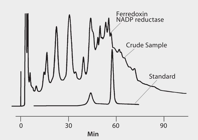HPLC Analysis of Ferredoxin NADP Reductase on TSKgel® Phenyl-5PW application for HPLC