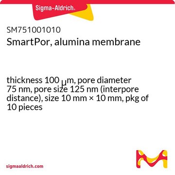 SmartPor, alumina membrane thickness 100&#160;&#956;m, pore diameter 75&#160;nm, pore size 125&#160;nm (interpore distance), size 10&#160;mm × 10&#160;mm, pkg of 10&#160;pieces