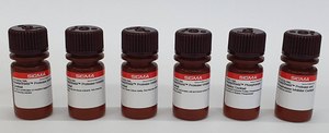ReadyShield&#174; Protease Inhibitor Cocktail for use with mammalian cell and tissue extracts, Non-freezing solution
